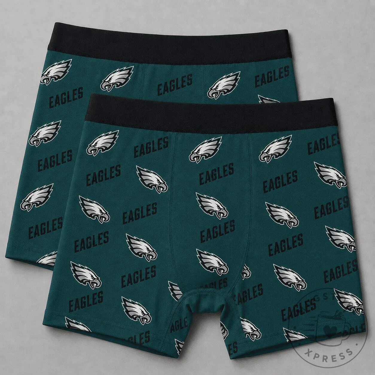 Philadelphia Eagles National Football League Team Logo Men's Boxer Briefs