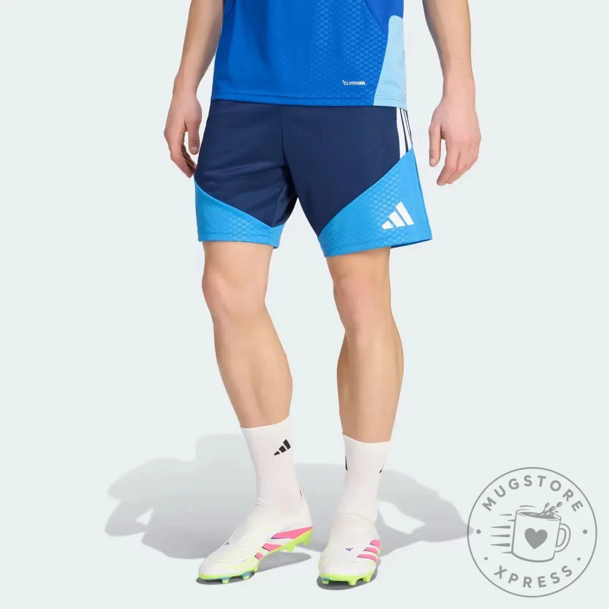 Cruzeiro Esporte Clube Training Shorts 9 Cruzeiro Esporte Clube Training Shorts
